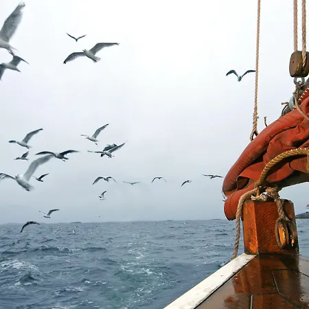 Orland Kysthotell Brekstad